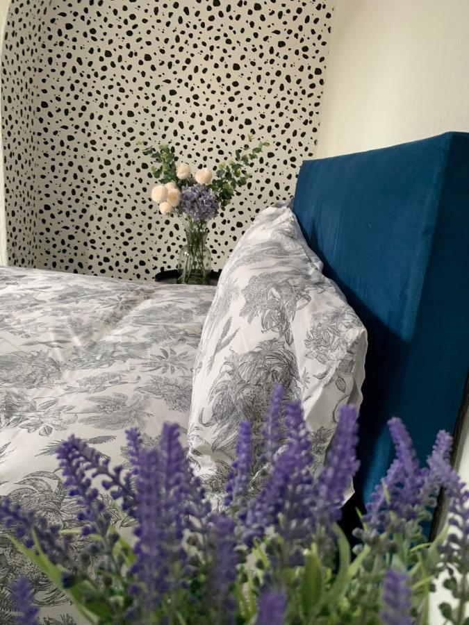 House Of Cosy Dots Holiday home Northampton